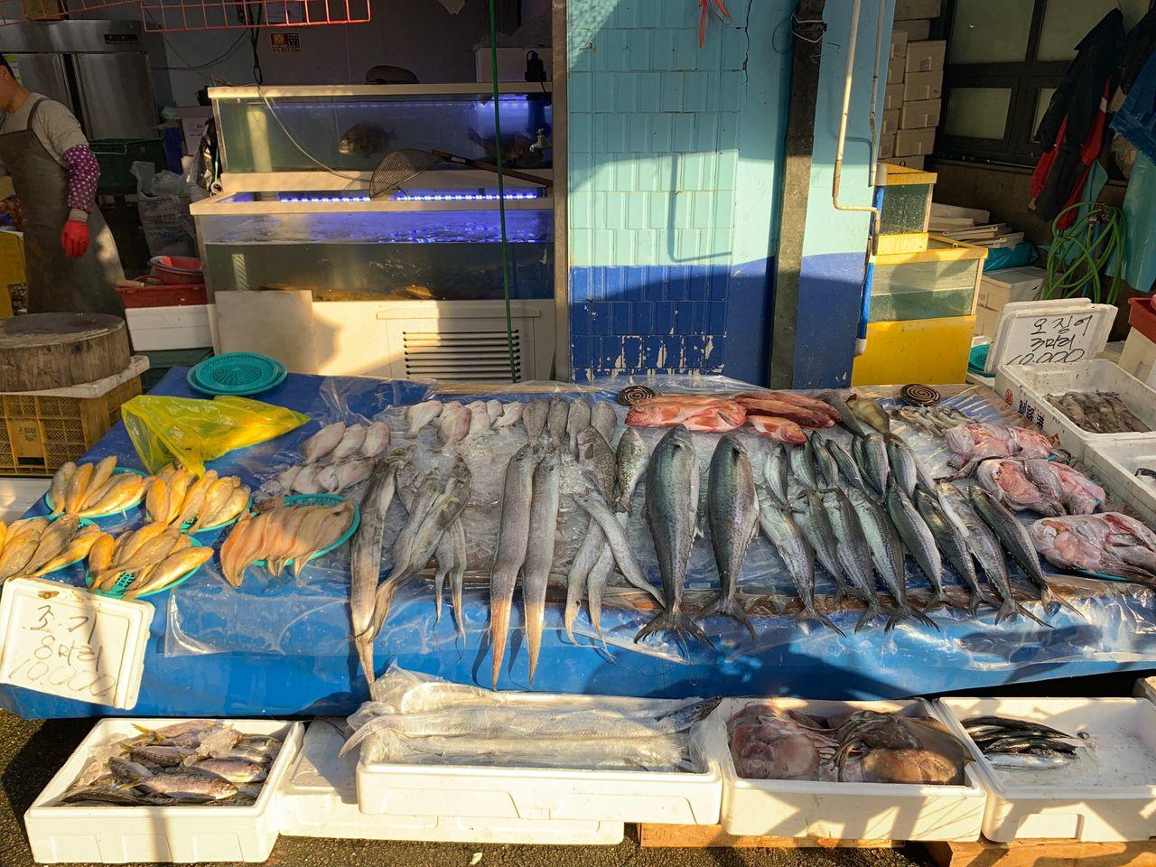 望遠市場 望遠站